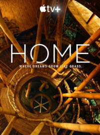 Home streaming