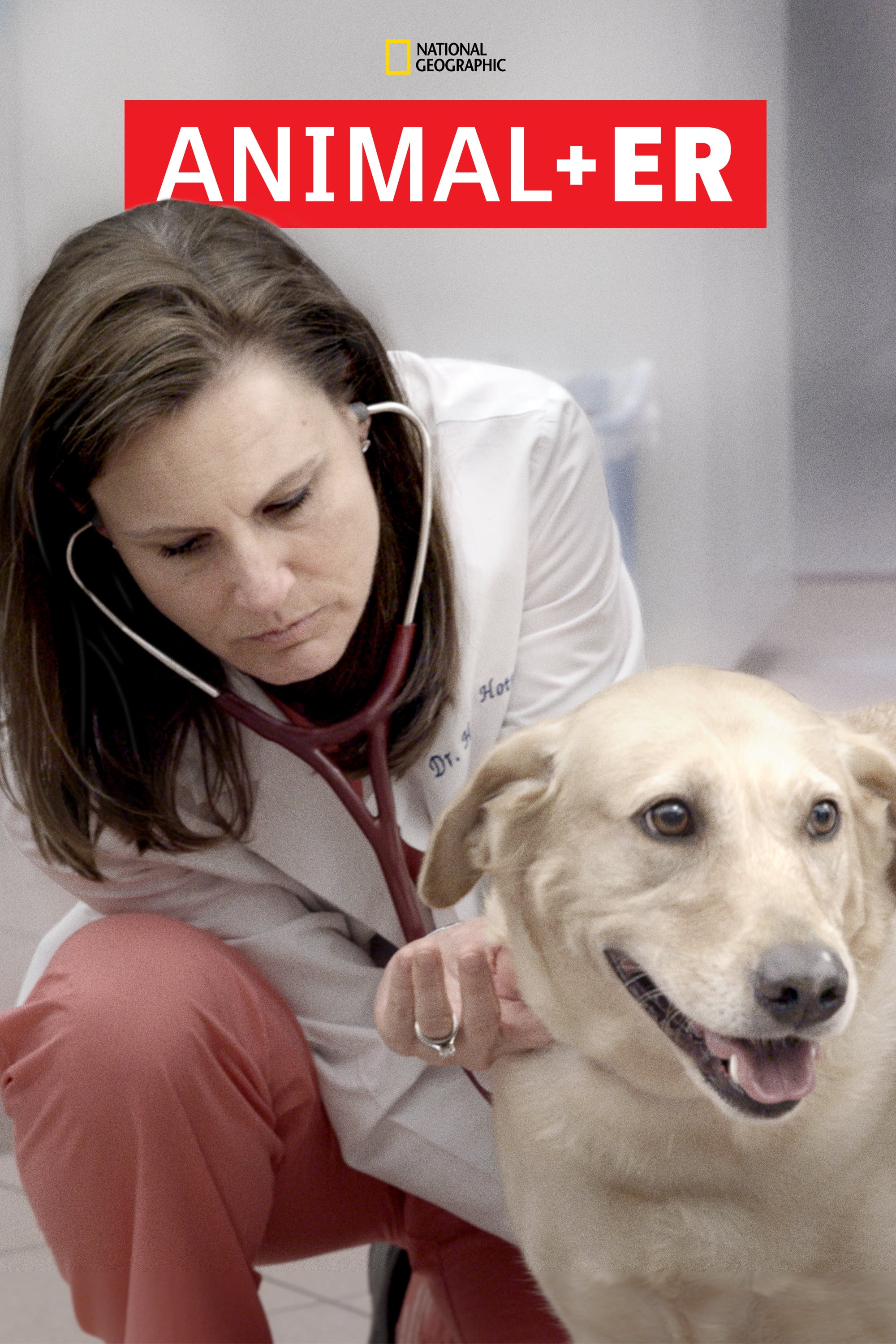 Urgences Animales Saison 1 en streaming français