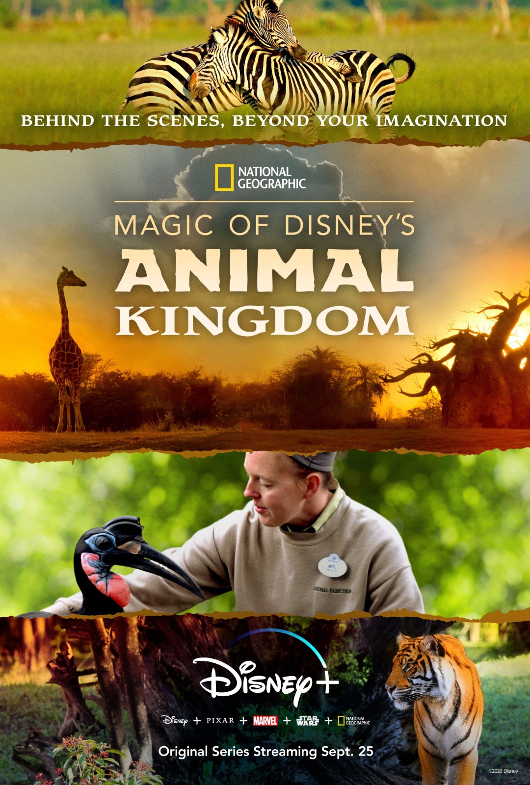 Au cœur de Disney’s Animal Kingdom Saison 1 en streaming français