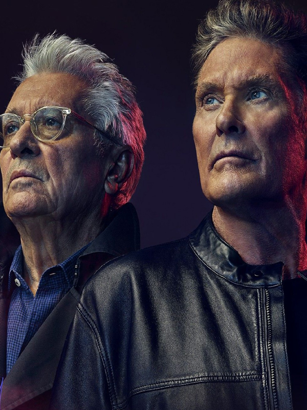 Ze Network Saison 1 en streaming français