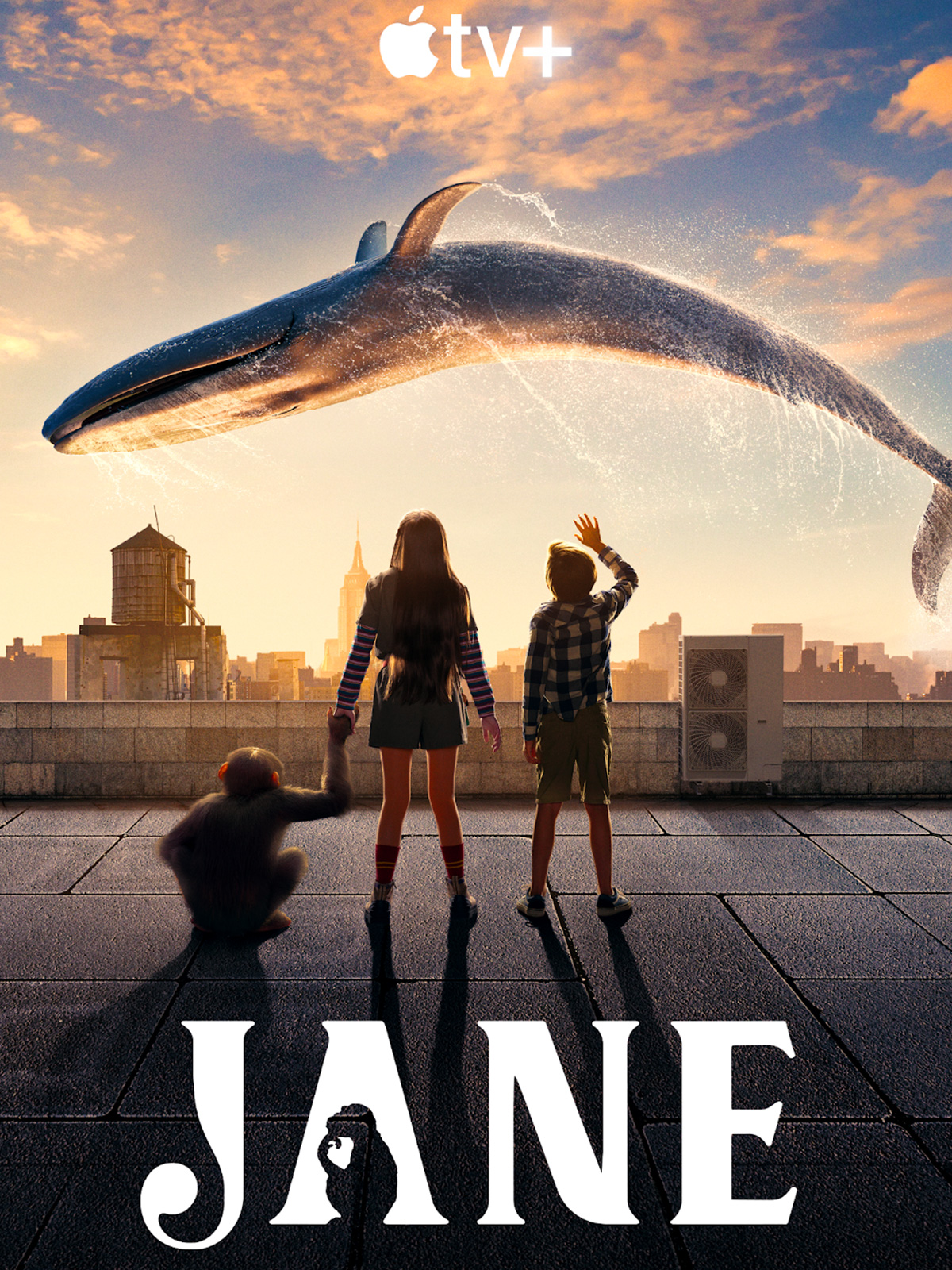 Jane streaming Jane streaming