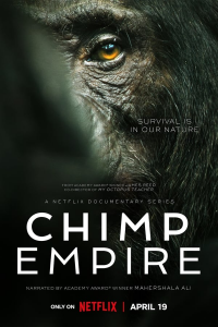 Chimp Empire streaming Chimp Empire streaming