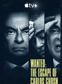 À la recherche de Carlos Ghosn streaming À la recherche de Carlos Ghosn streaming