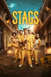 Stags Saison 1 en streaming français Stags Saison 1 en streaming français