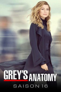 Grey's Anatomy Saison 16 en streaming français Grey's Anatomy Saison 16 en streaming français